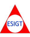 esigt